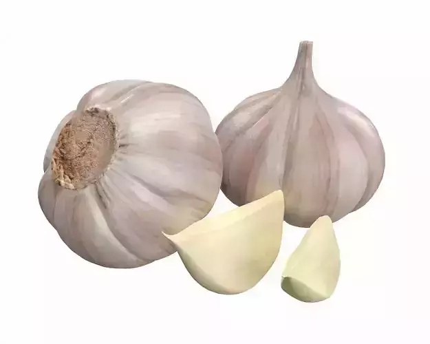 garlic two garlics 3D model