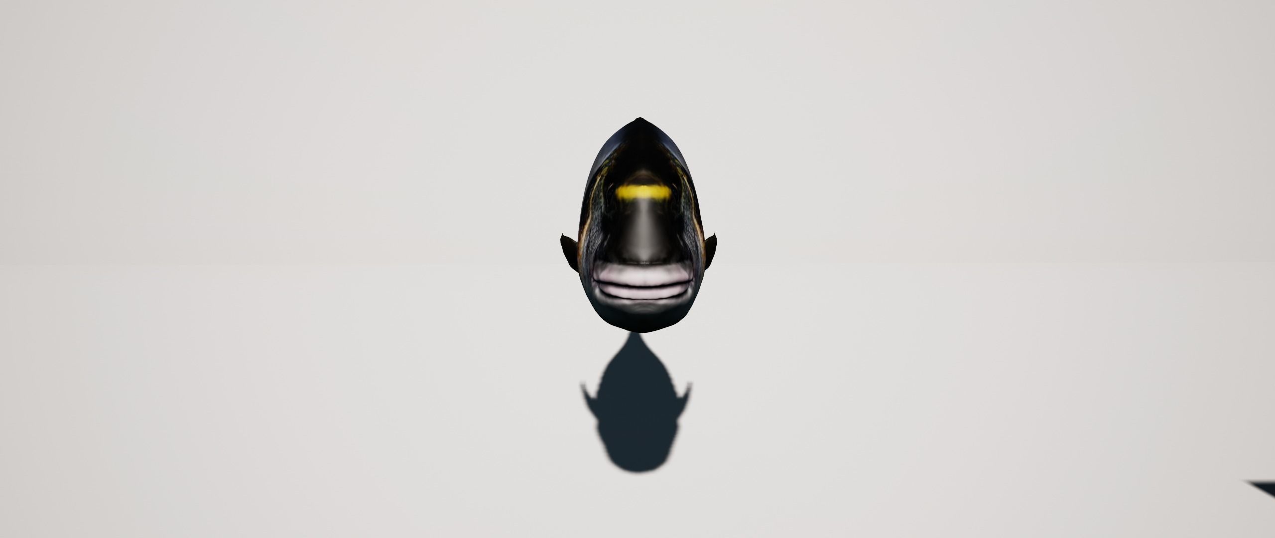 Gilthead Sea Bream mediterranean sea fish rigged animated Low-poly 3D model_2