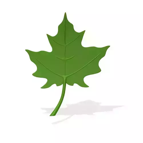 Maple Leaf cartoon