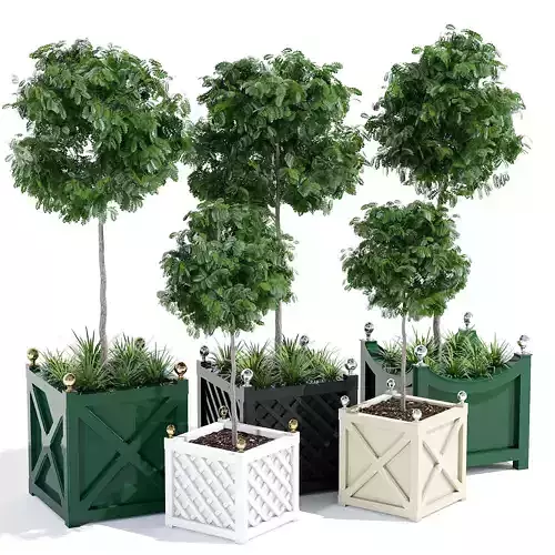 Accentsoffrance four planters