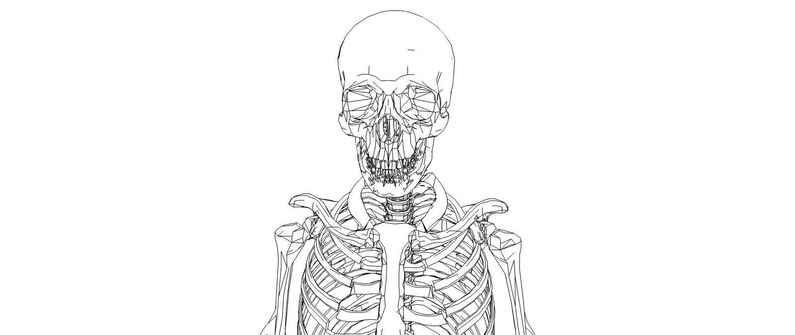 Skeleton human Low-poly 3D model_8