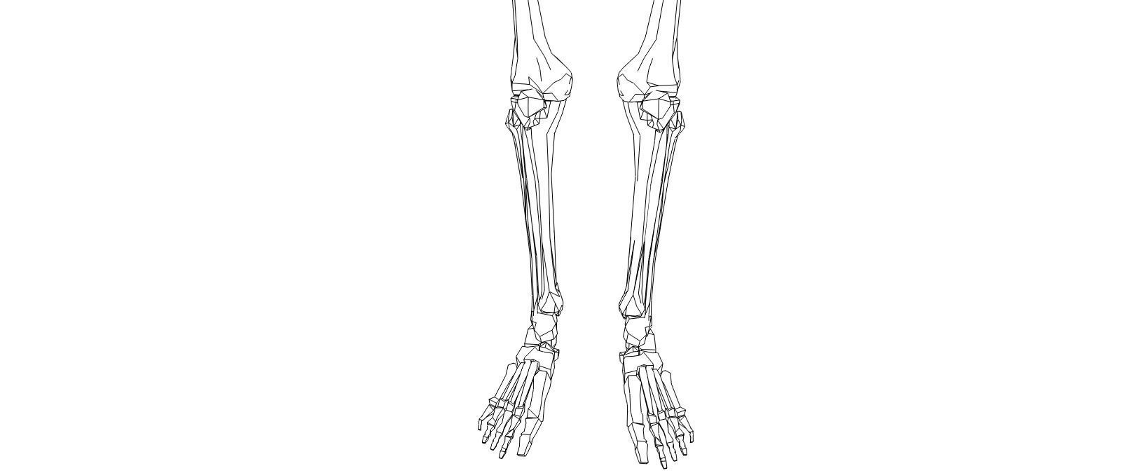 Skeleton human Low-poly 3D model_1
