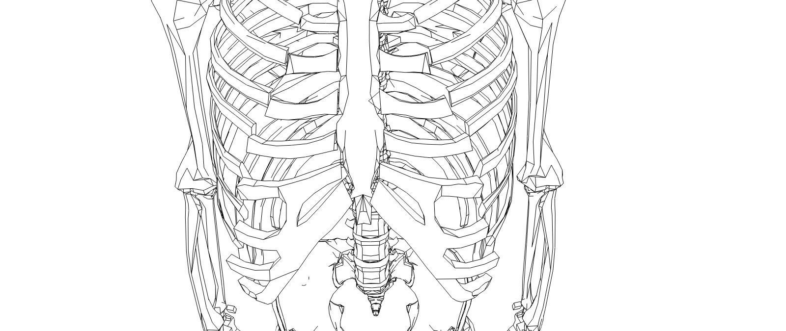 Skeleton human Low-poly 3D model_7