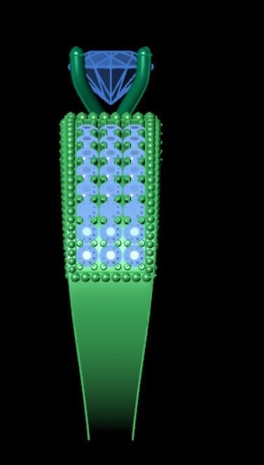 Ring bi 2 3D print model_6