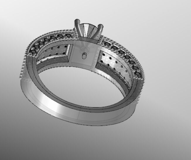 Ring bi 2 3D print model_18