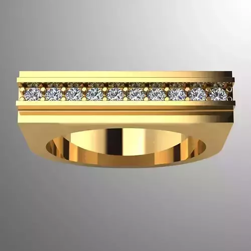 Ring bi 8 3D print model