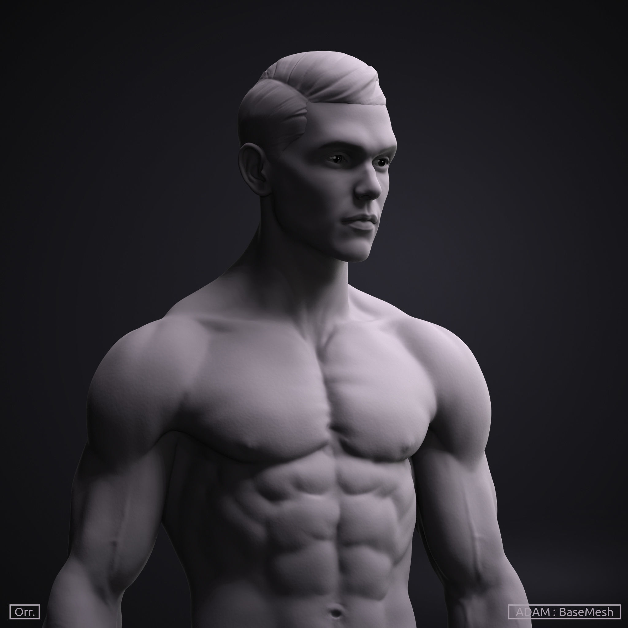Basemesh Set - Adam and Eve 3D Model Collection_14