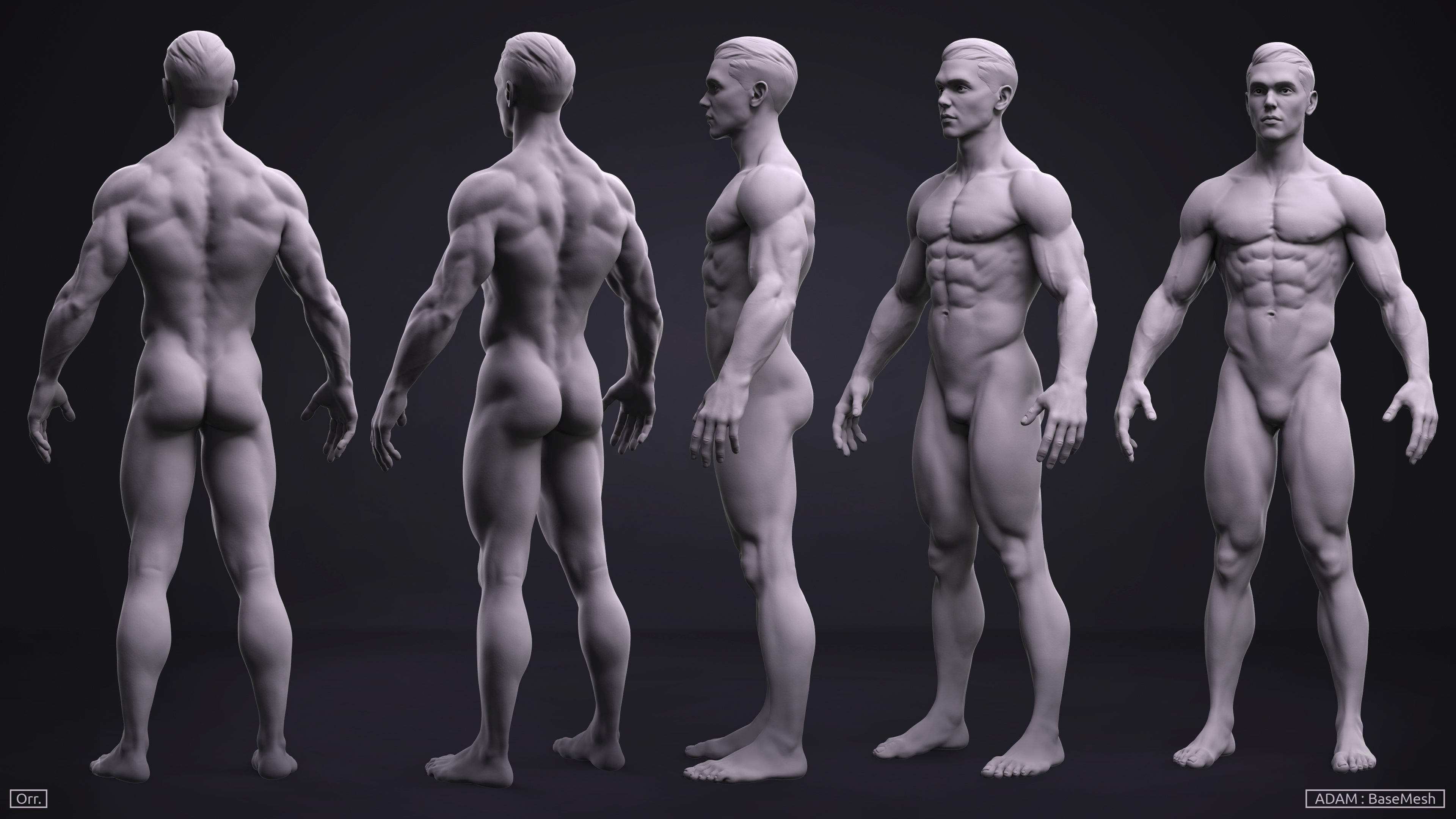 Basemesh Set - Adam and Eve 3D Model Collection_6