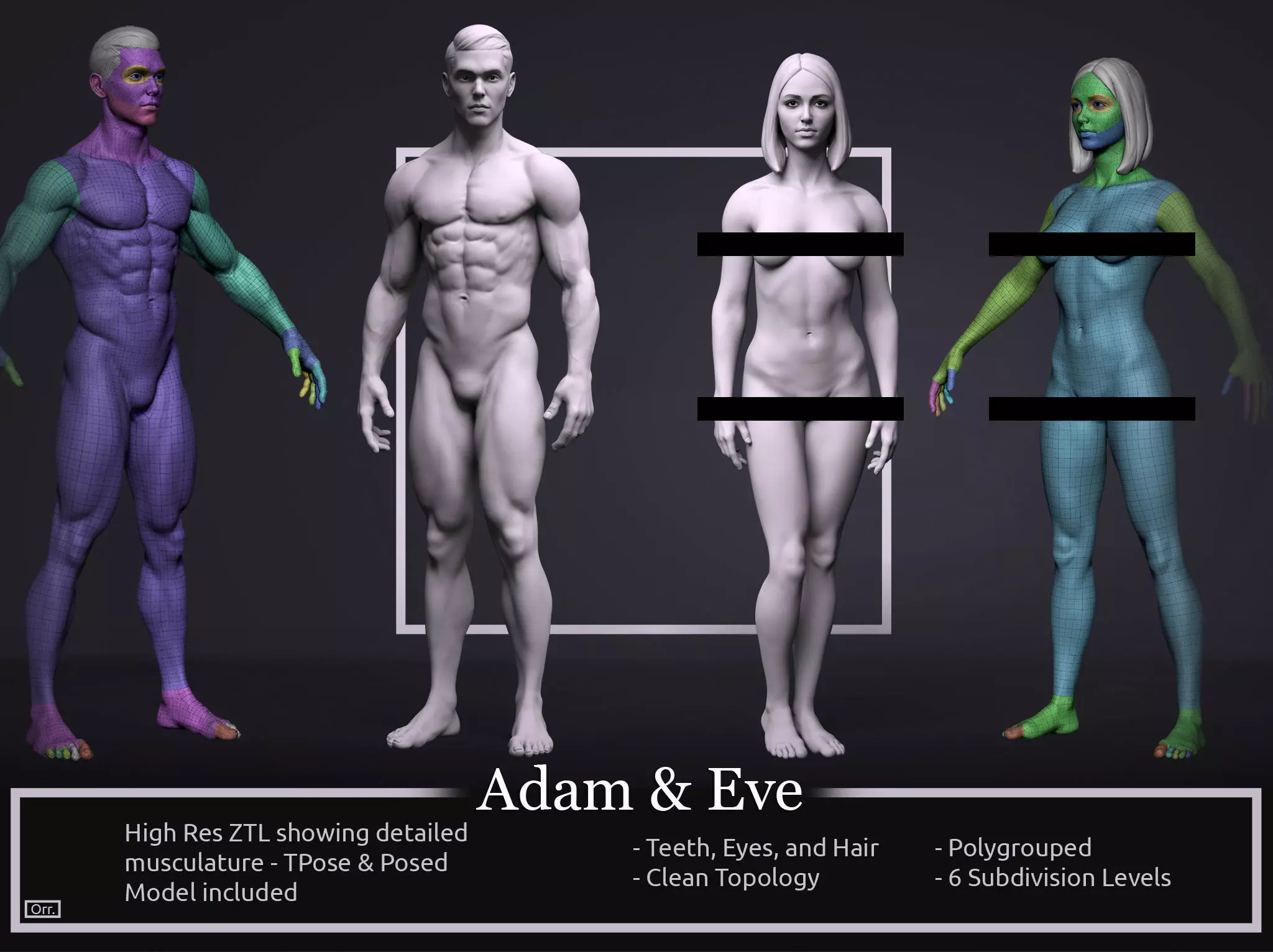Basemesh Set - Adam and Eve 3D Model Collection_0