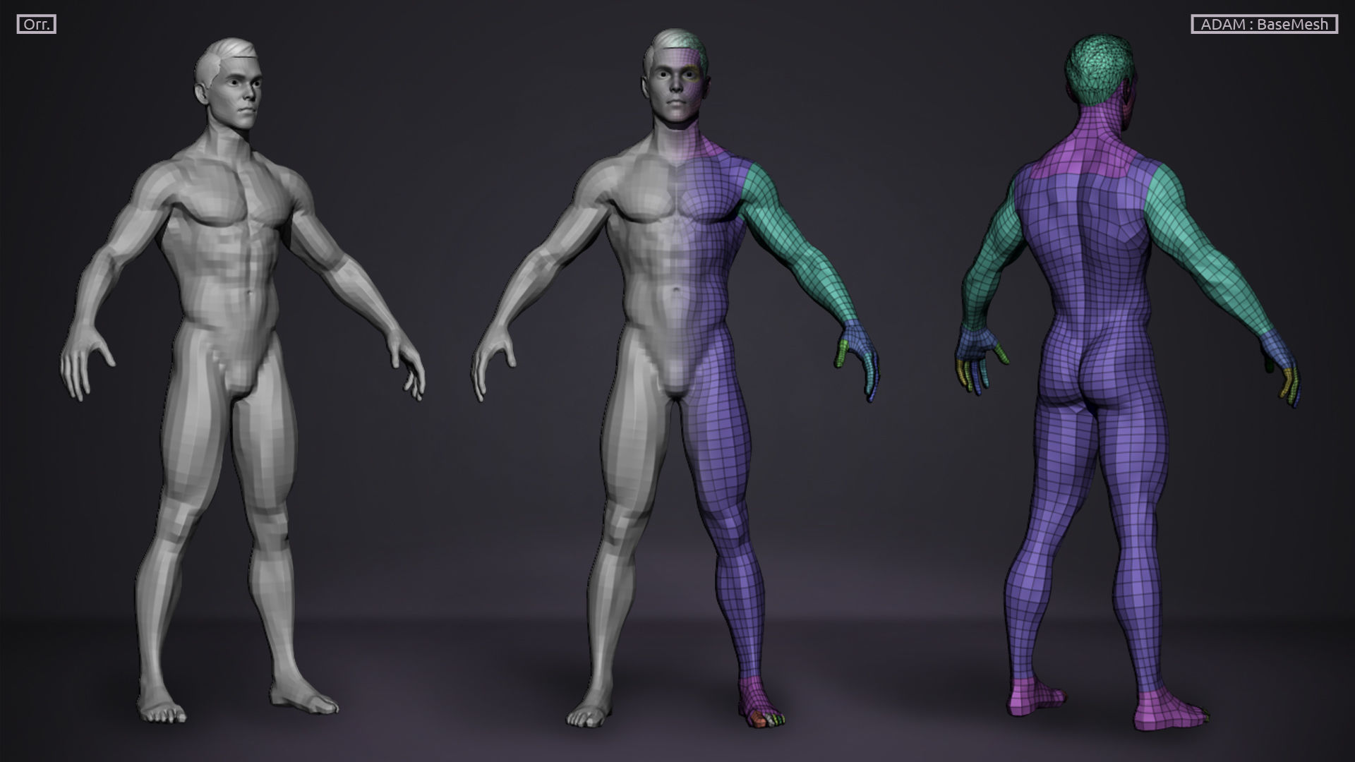 Basemesh Set - LowPoly man and woman 3D Model Collection_6
