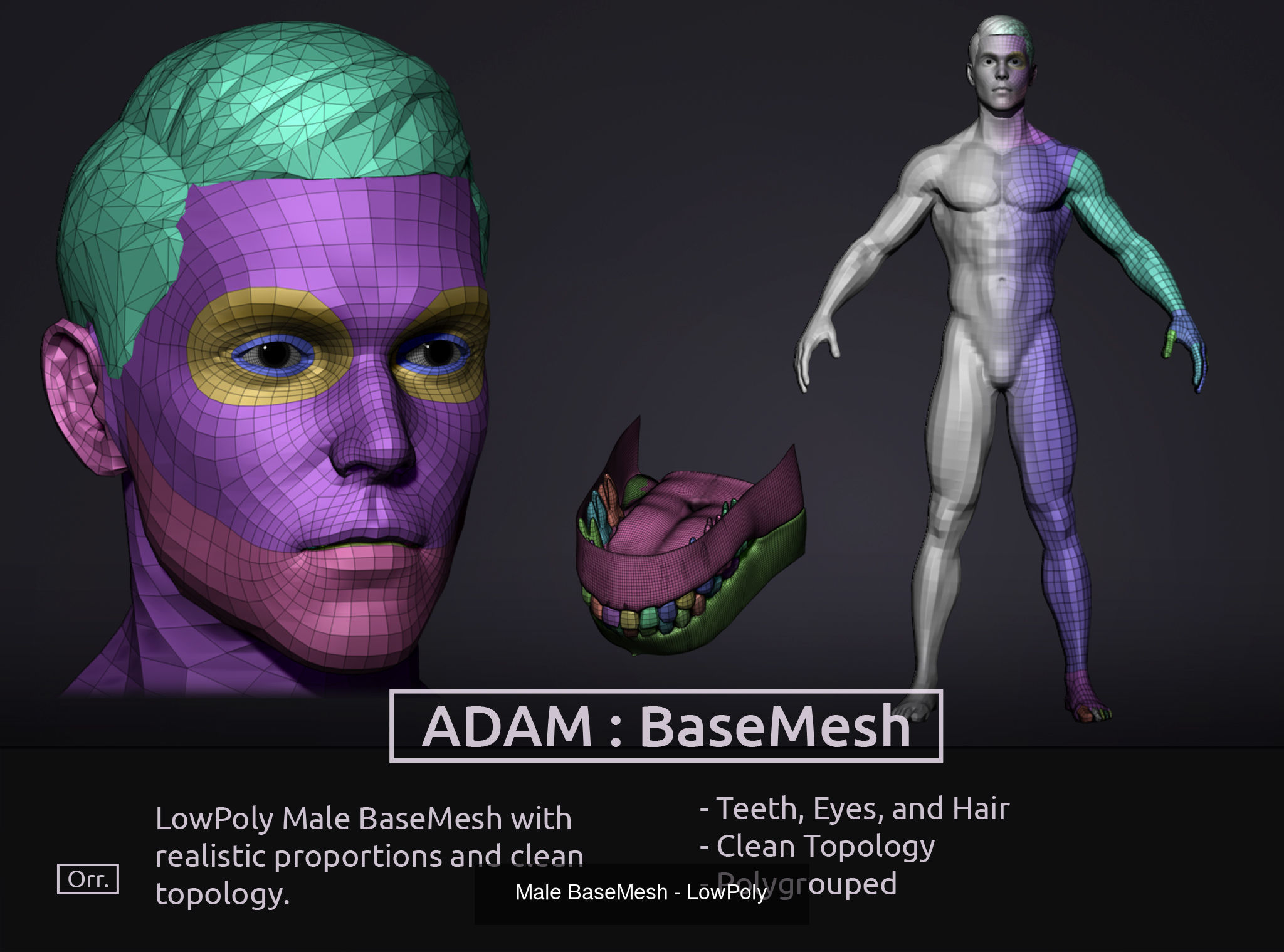 Basemesh Set - LowPoly man and woman 3D Model Collection_2