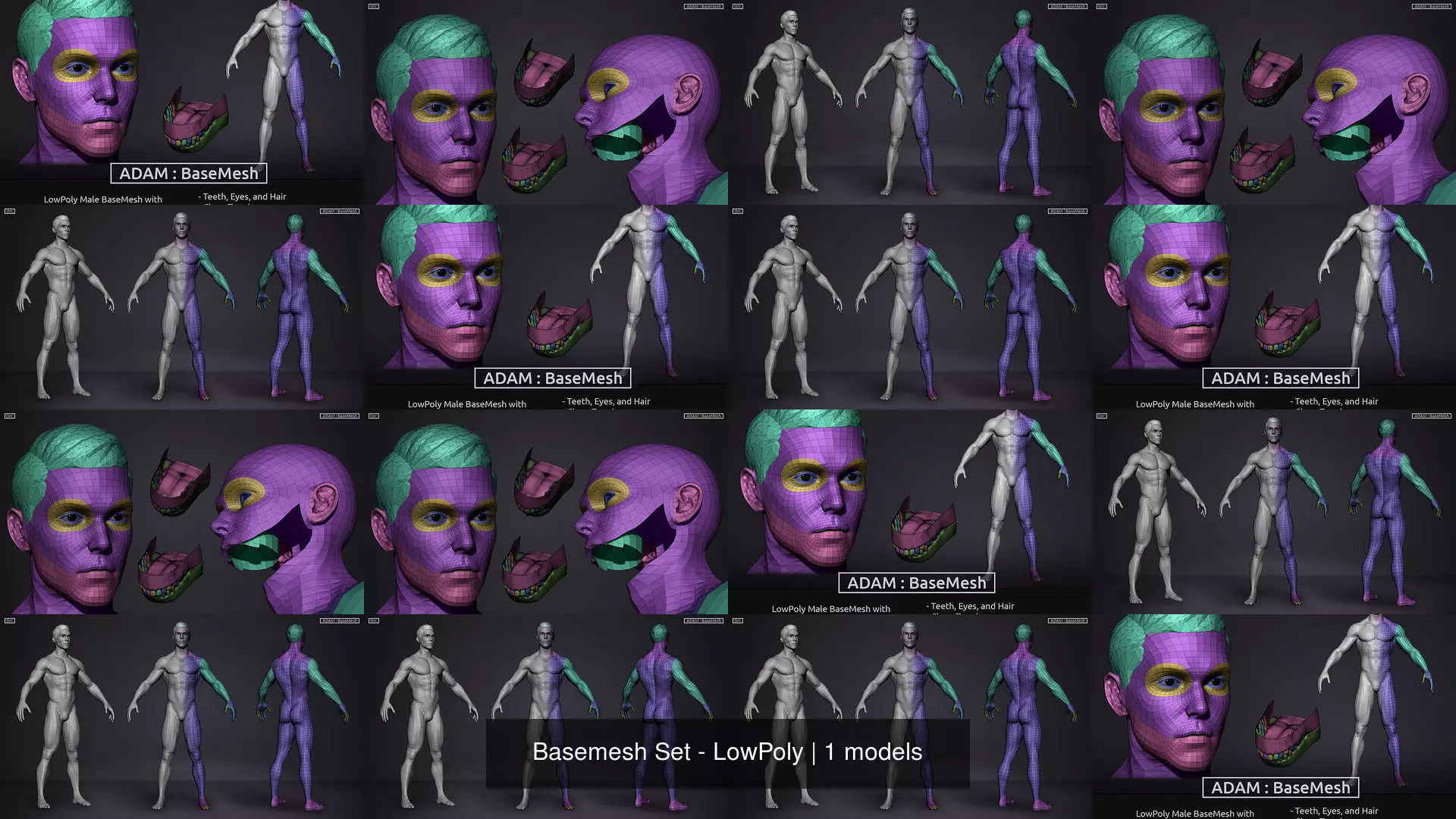 Basemesh Set - LowPoly man and woman 3D Model Collection_1