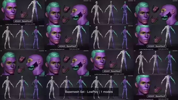 Basemesh Set - LowPoly man and woman