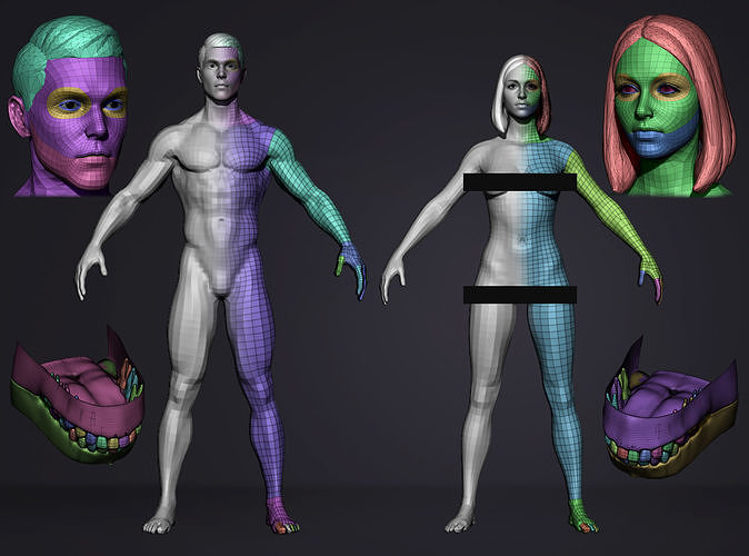 Basemesh Set - LowPoly man and woman 3D Model Collection