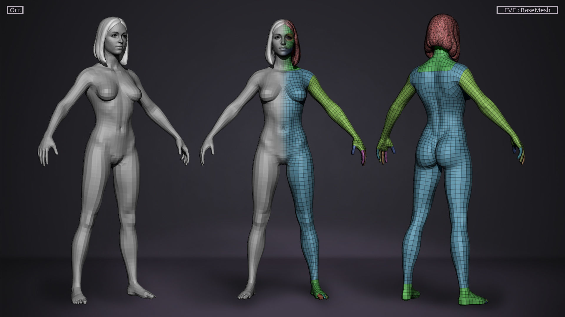 Basemesh Set - LowPoly man and woman 3D Model Collection_8