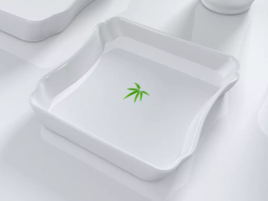 Bamboo plate 3D model 3D print model