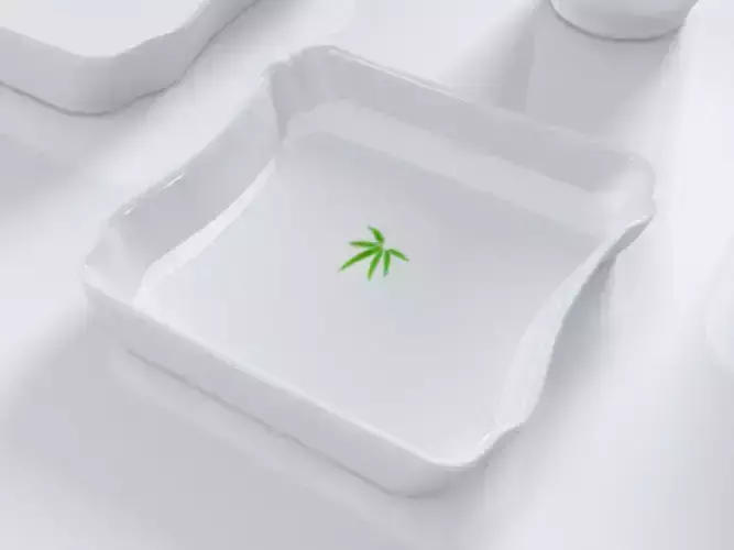 Bamboo plate 3D model 3D print model