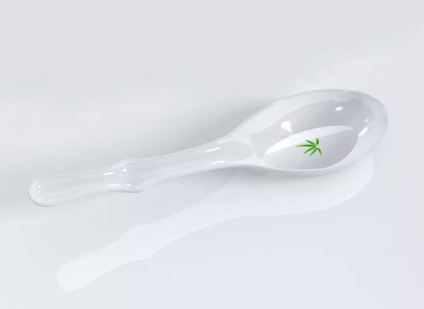Bamboo Soup spoon 3D model 3D print model_0