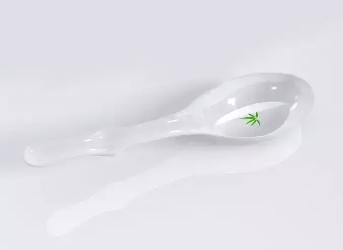 Bamboo Soup spoon 3D model 3D print model