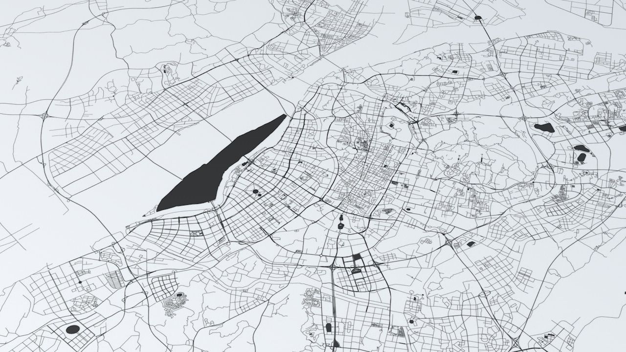 Nanjing Road Network and Streets 3D model_5