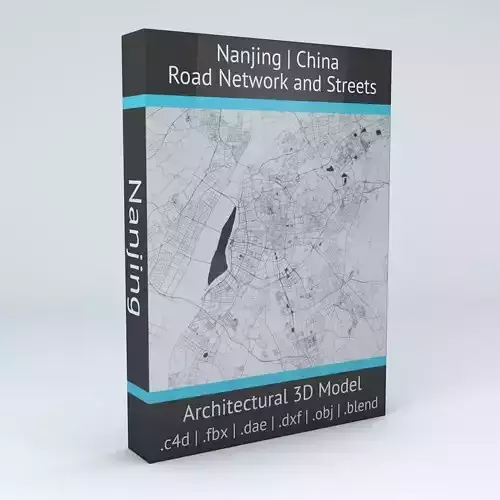 Nanjing Road Network and Streets 3D model