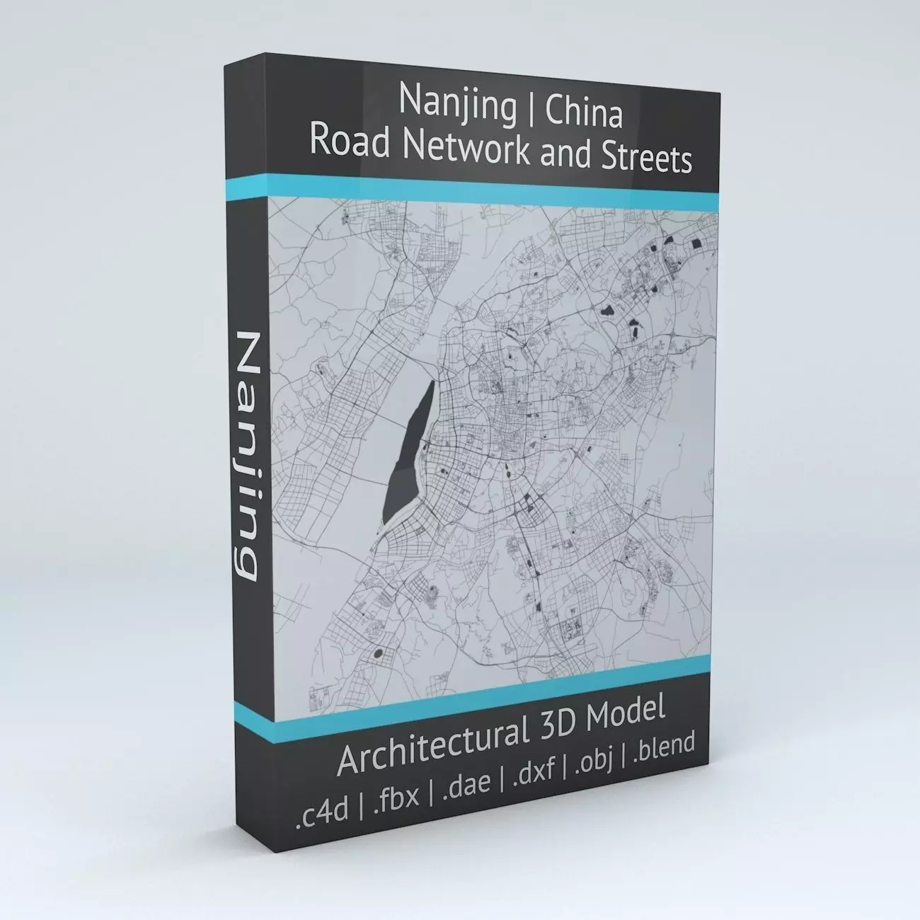 Nanjing Road Network and Streets 3D model_0