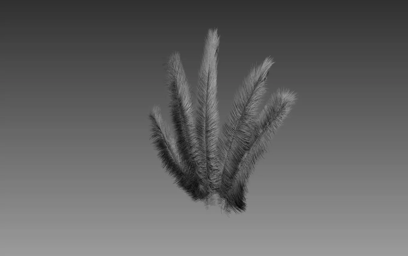 Feathers cactus 3D model_0