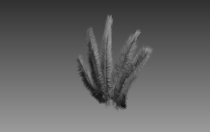 Feathers cactus 3D model