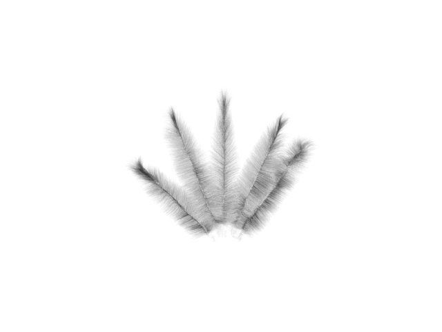 Feathers cactus 3D model_2