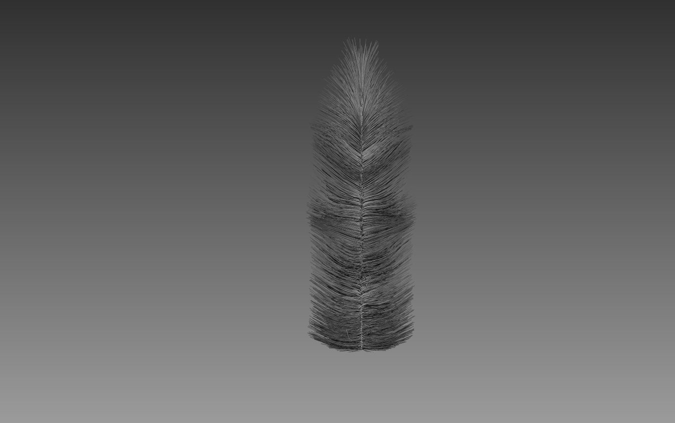 Feathers cactus 3D model_3