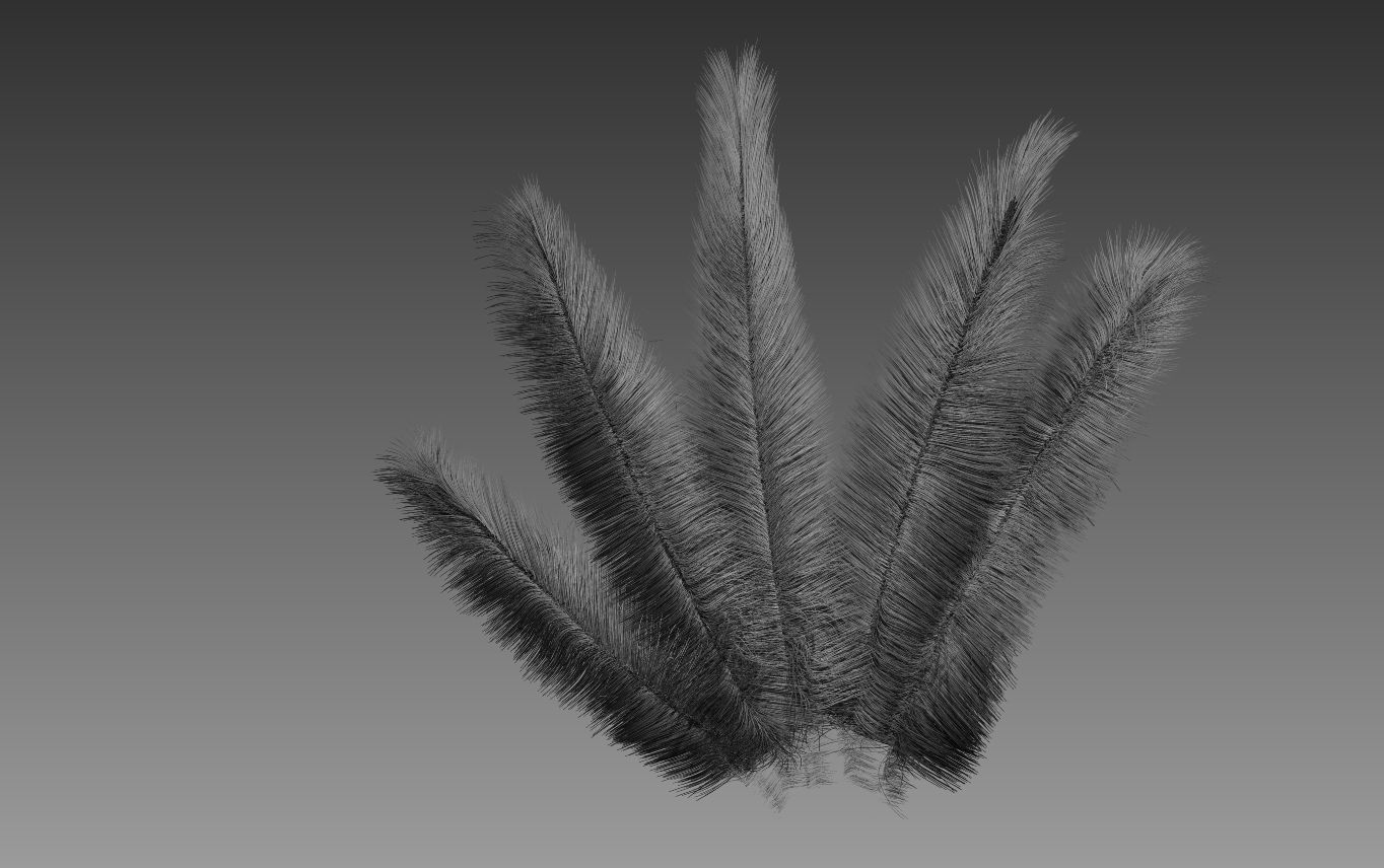 Feathers cactus 3D model_4