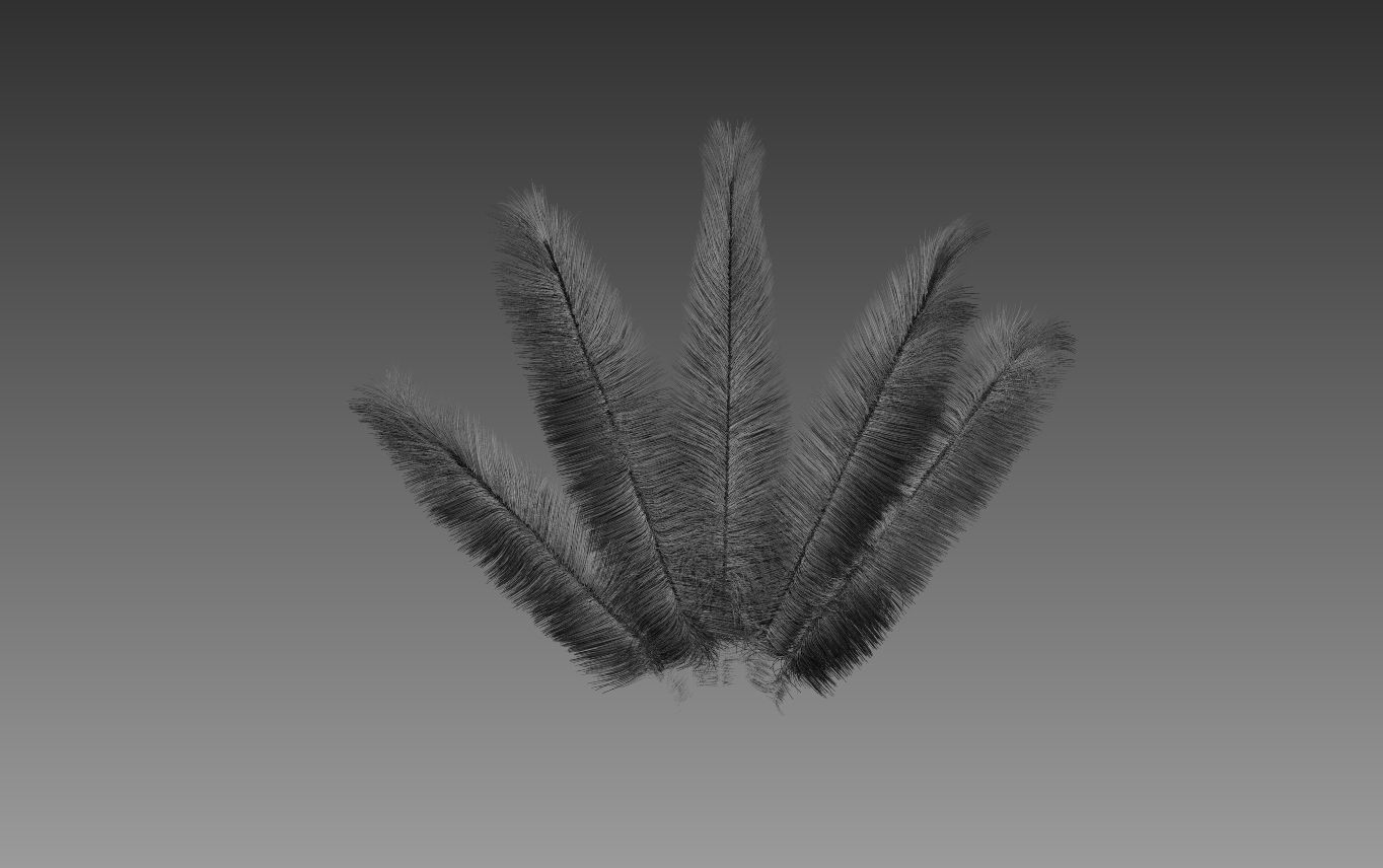 Feathers cactus 3D model_1