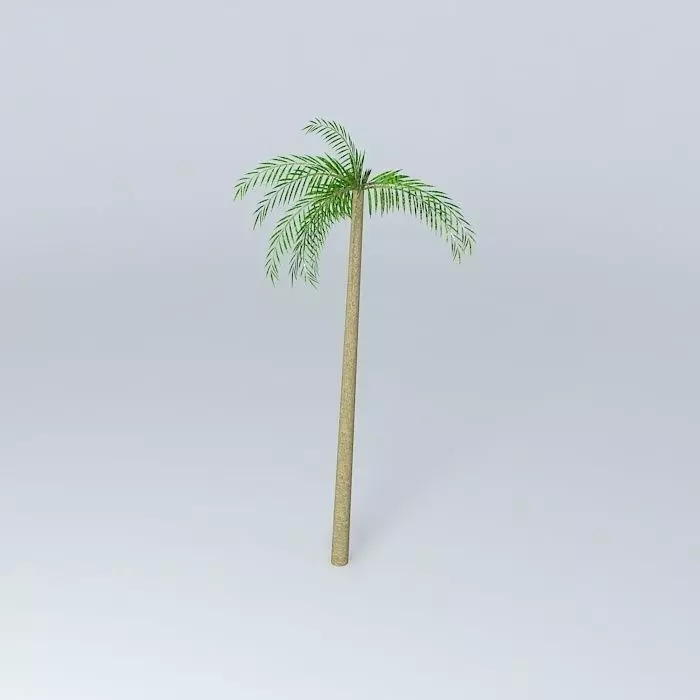 Palm Tree Free 3D model