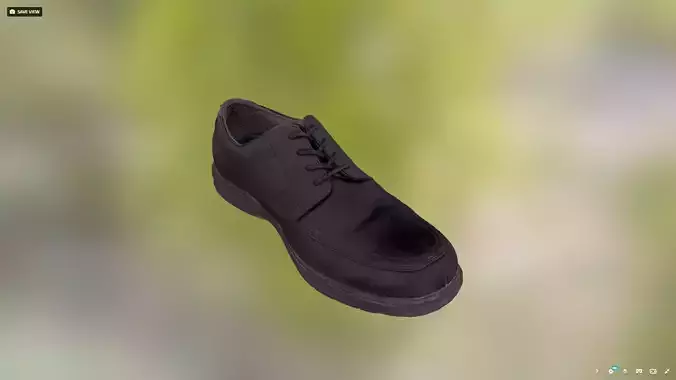 Black Dress Shoe