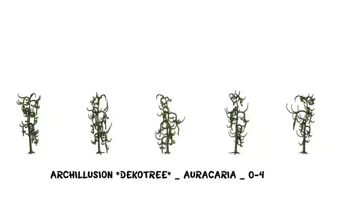 Archillusion - Decotree - Auracaria 0-4 3D model