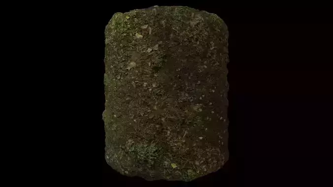PBR Scanned Grassy Soil