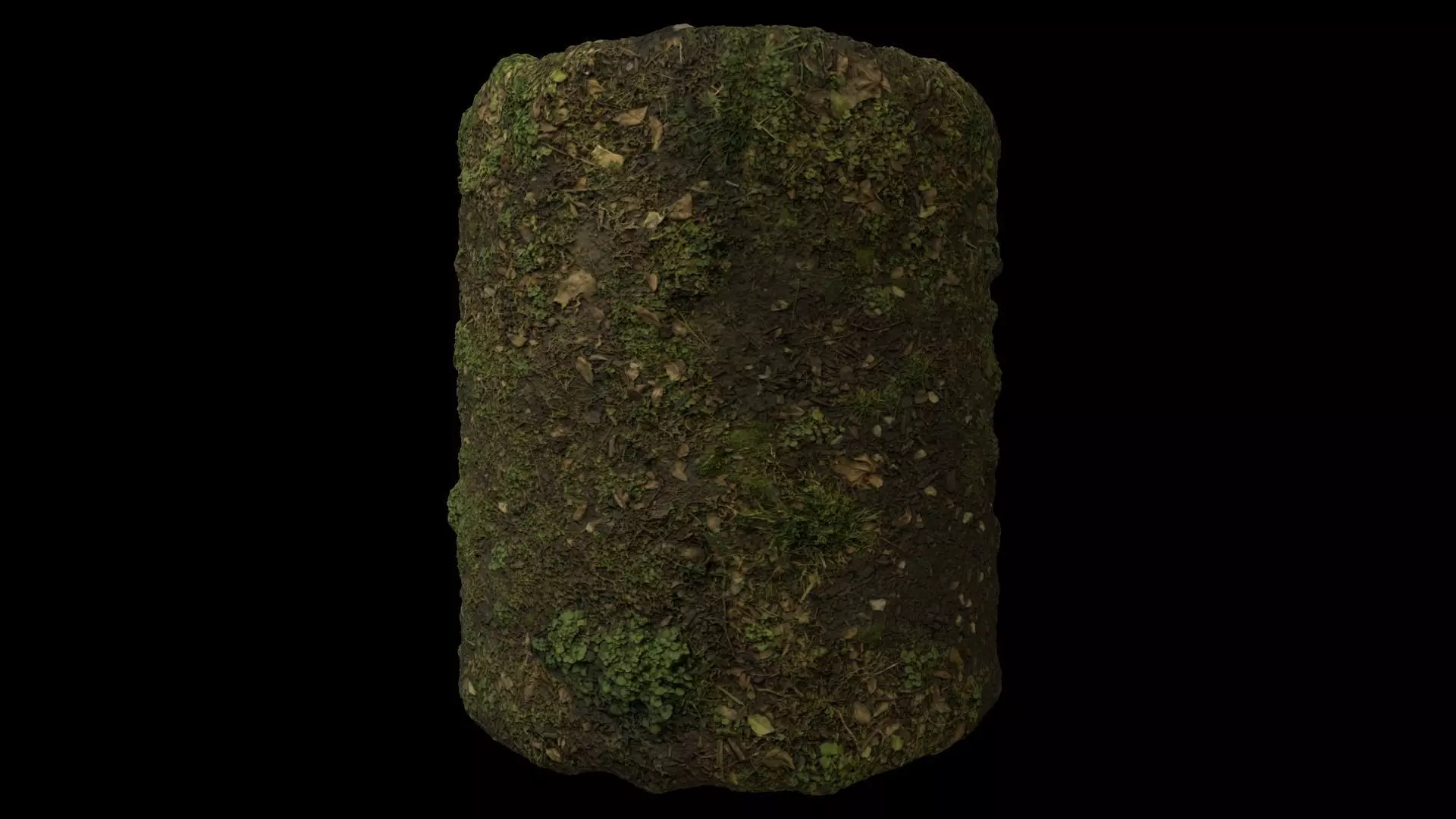 PBR Scanned Grassy Soil Texture