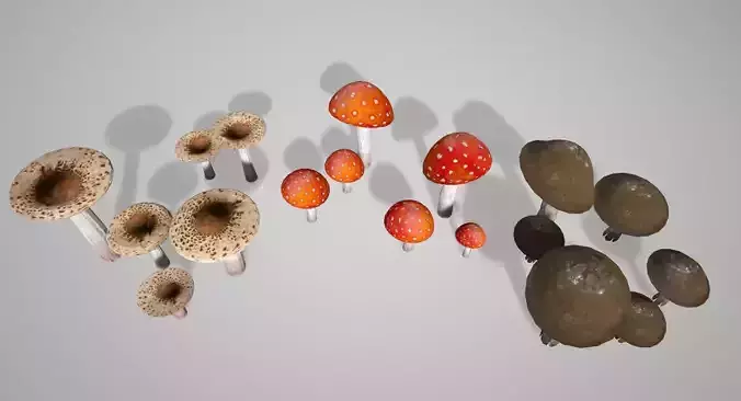Mushroom Pack Low-poly 3D model