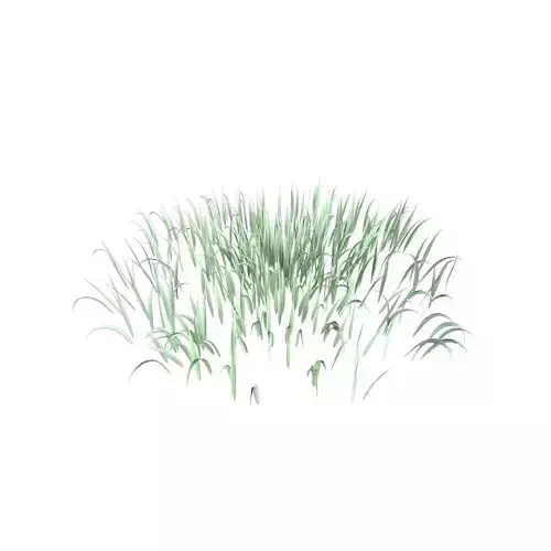 Grass 001