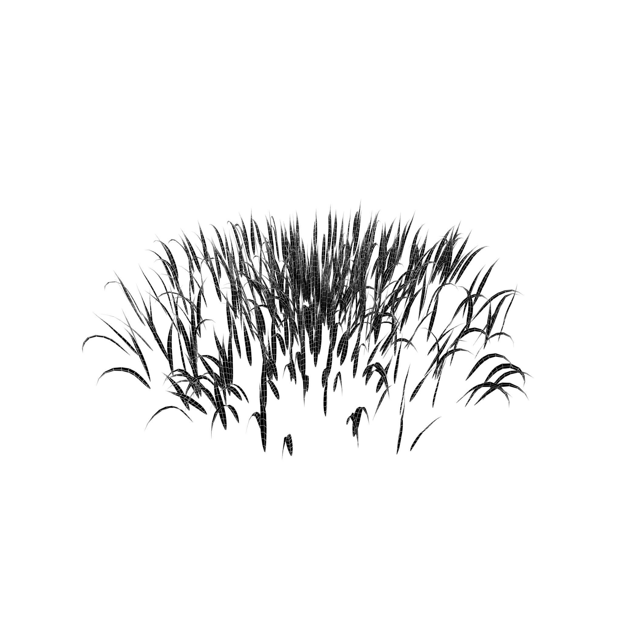 Grass 001 Free low-poly 3D model_5