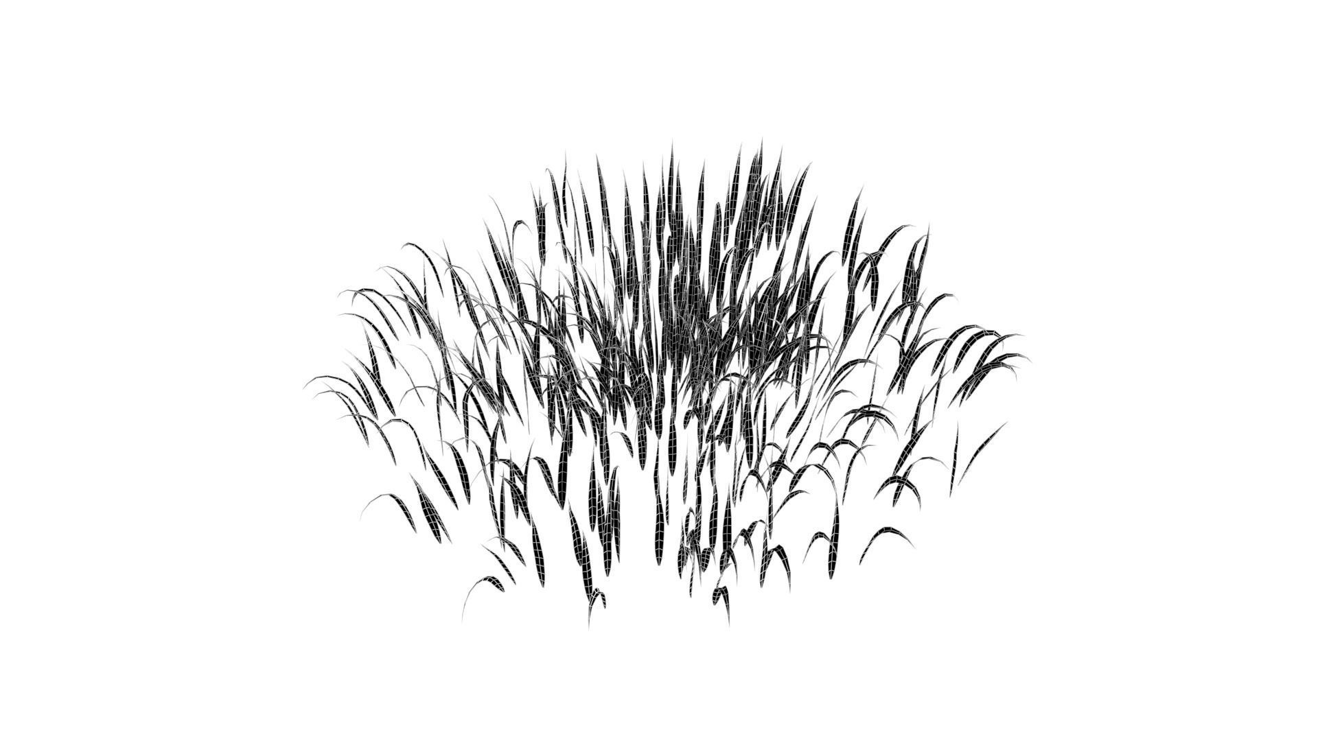Grass 001 Free low-poly 3D model_8
