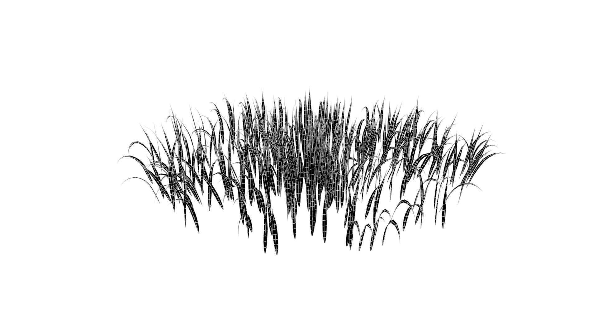 Grass 001 Free low-poly 3D model_6