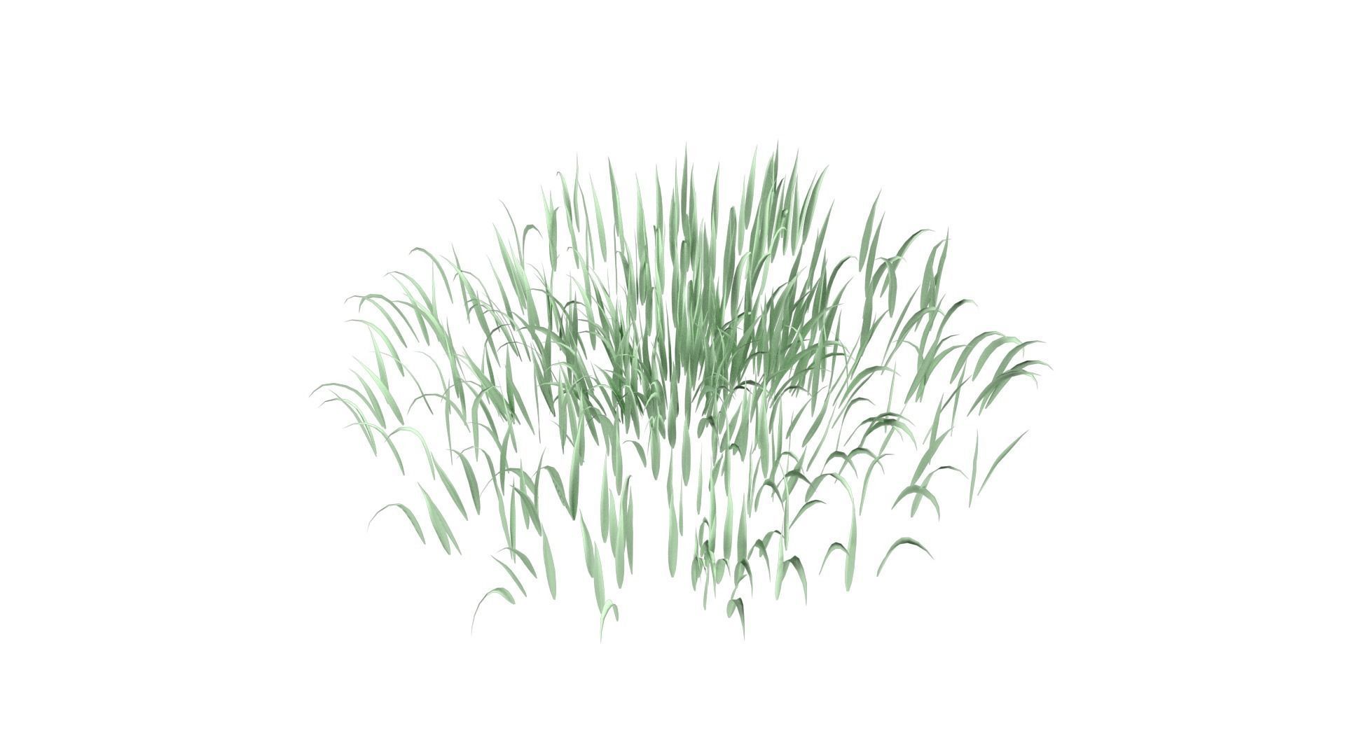 Grass 001 Free low-poly 3D model_4