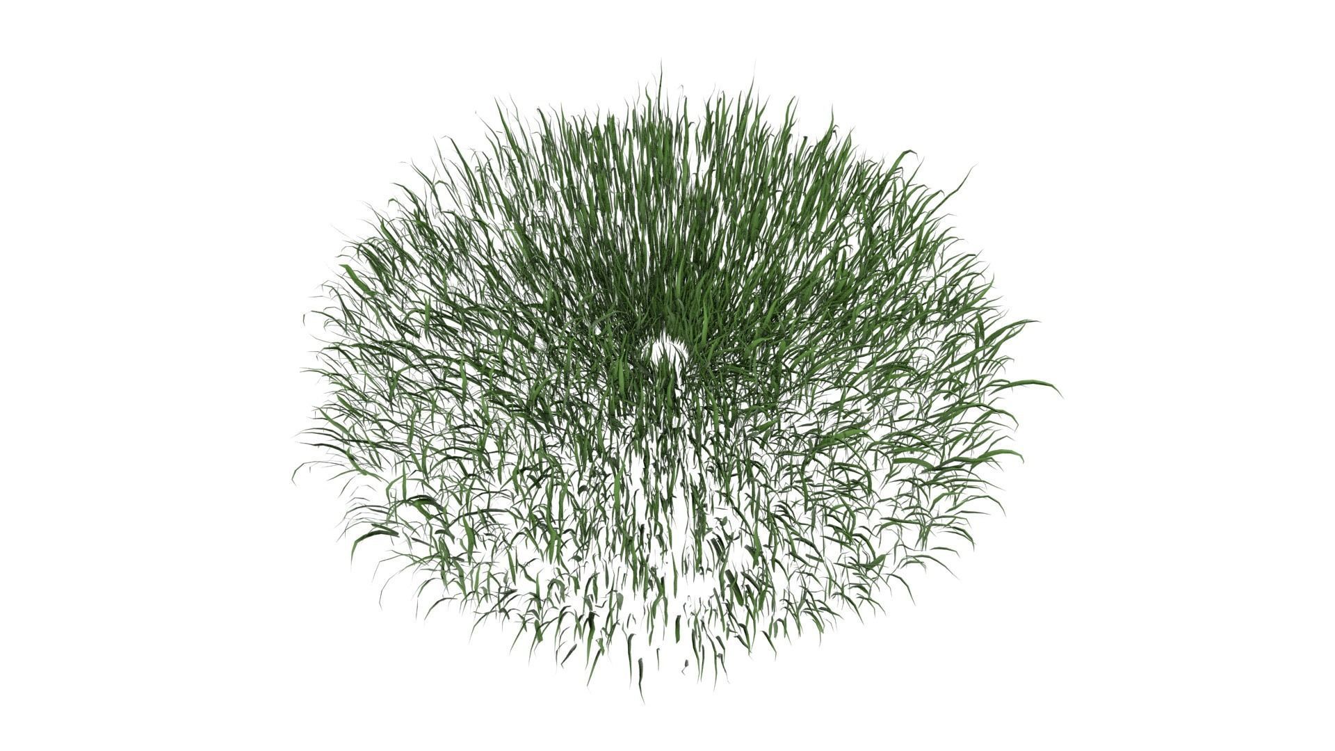 Grass 003 Low-poly 3D model_3