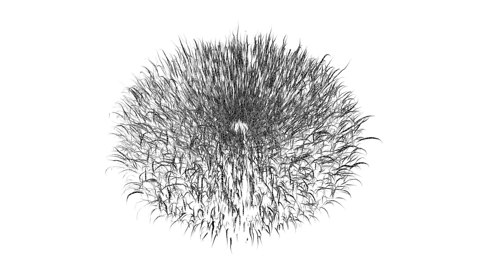 Grass 003 Low-poly 3D model_7