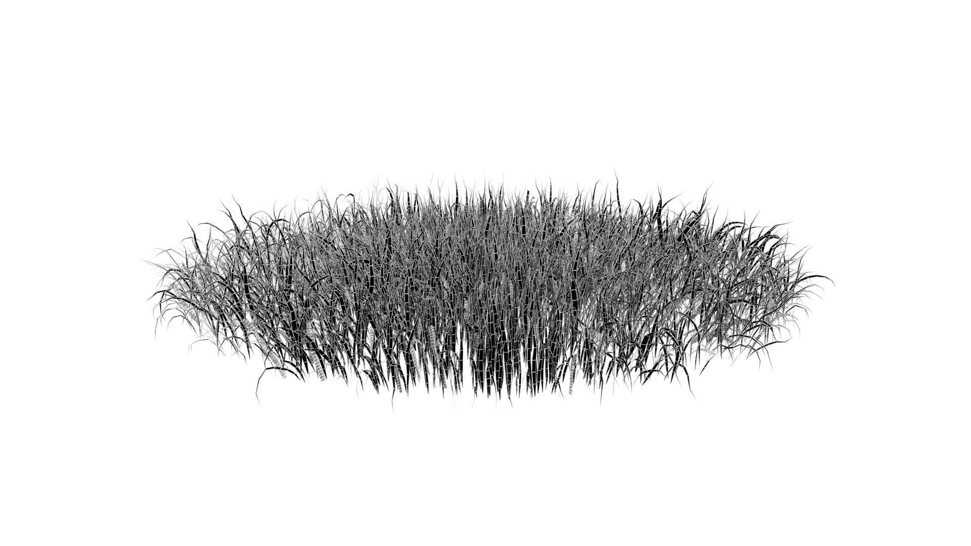 Grass 003 Low-poly 3D model_6