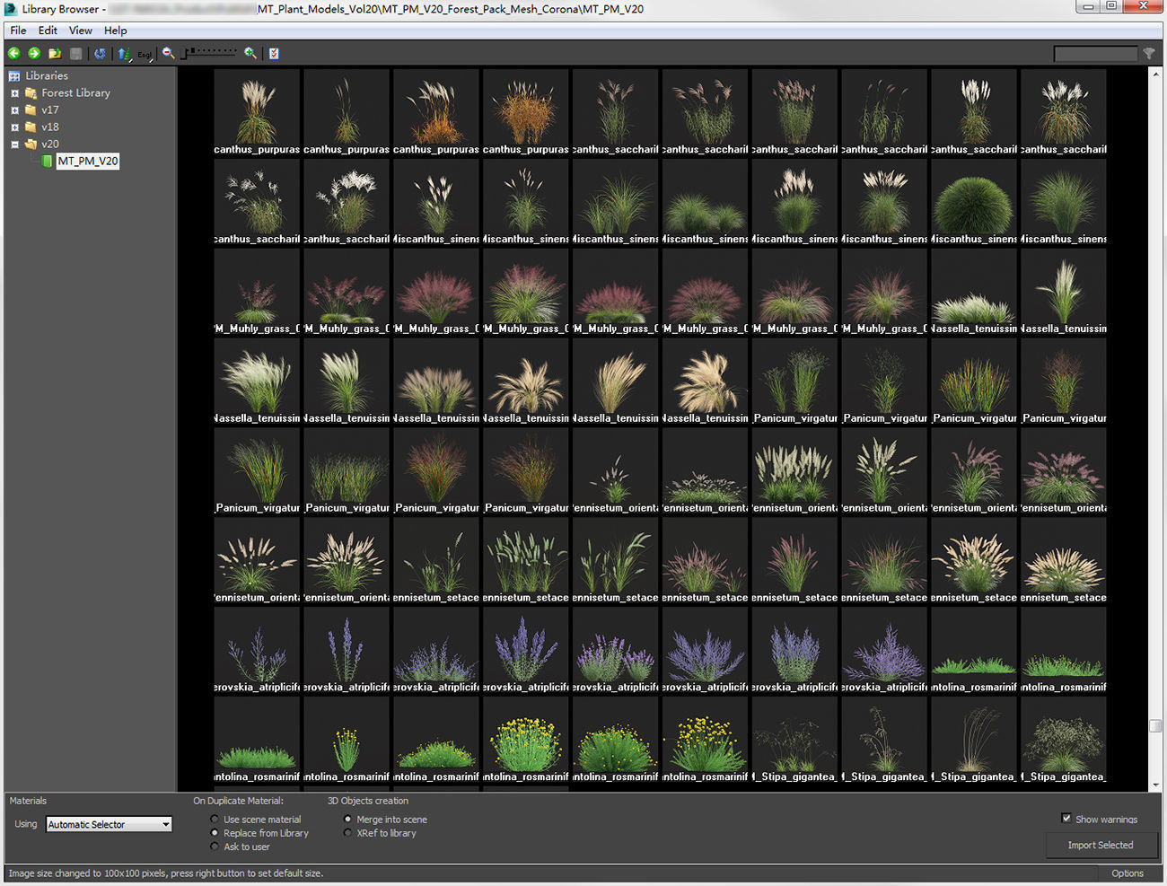 Miscanthus grass collection - Include GrowFX and Mesh file 3D model_4