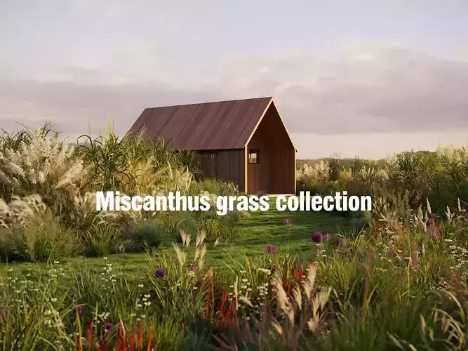 Miscanthus grass collection - Include GrowFX and Mesh file 3D model