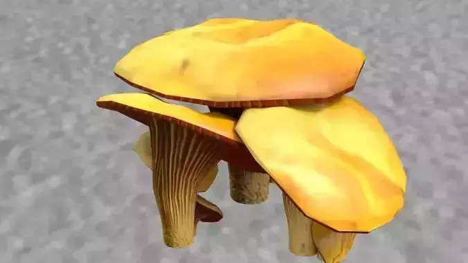 Shrooms 1 mushroom
