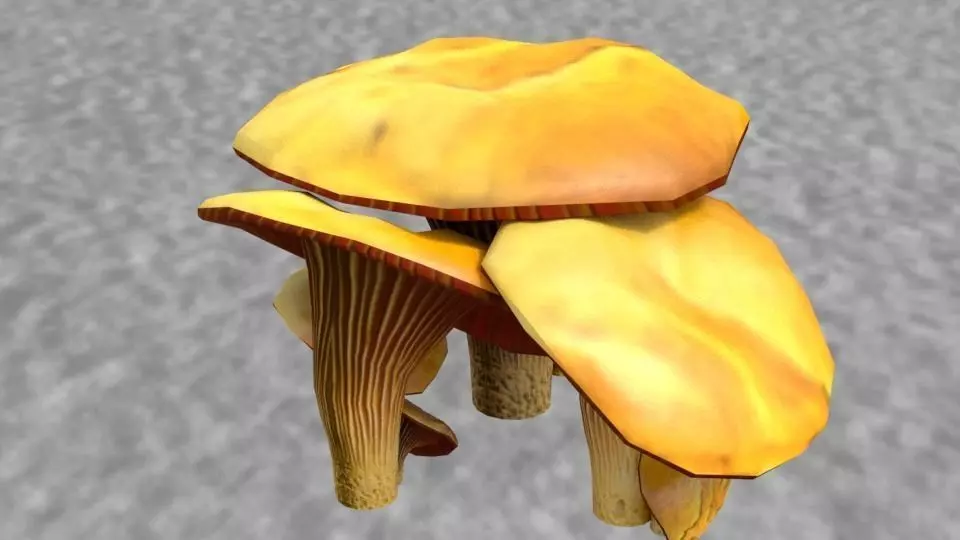 Shrooms 1 mushroom Low-poly 3D model_0